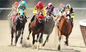 Cryptocurrency Horse Race Betting